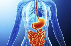 Dr. Shahid Rasool Liver Clinic