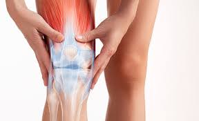 Institute of Orthopedics & Surgery Hospital
