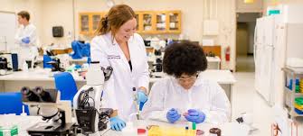 Dr. Essa laboratory & diagnostic Centre