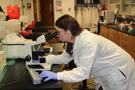 IDC Lab & Diagnostic Centre Saddar Karachi IDC Lab & Diagnostic Centre Saddar Karachi