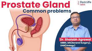 Farooq Urology Clinic and Infertility centre best urologist
