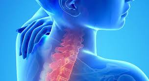 YK ORTHOPAEDICS